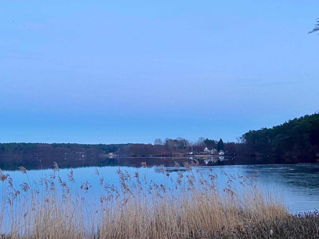 Waldwerk Wurlgrund Lychen Aparthotel Buitenkant foto
