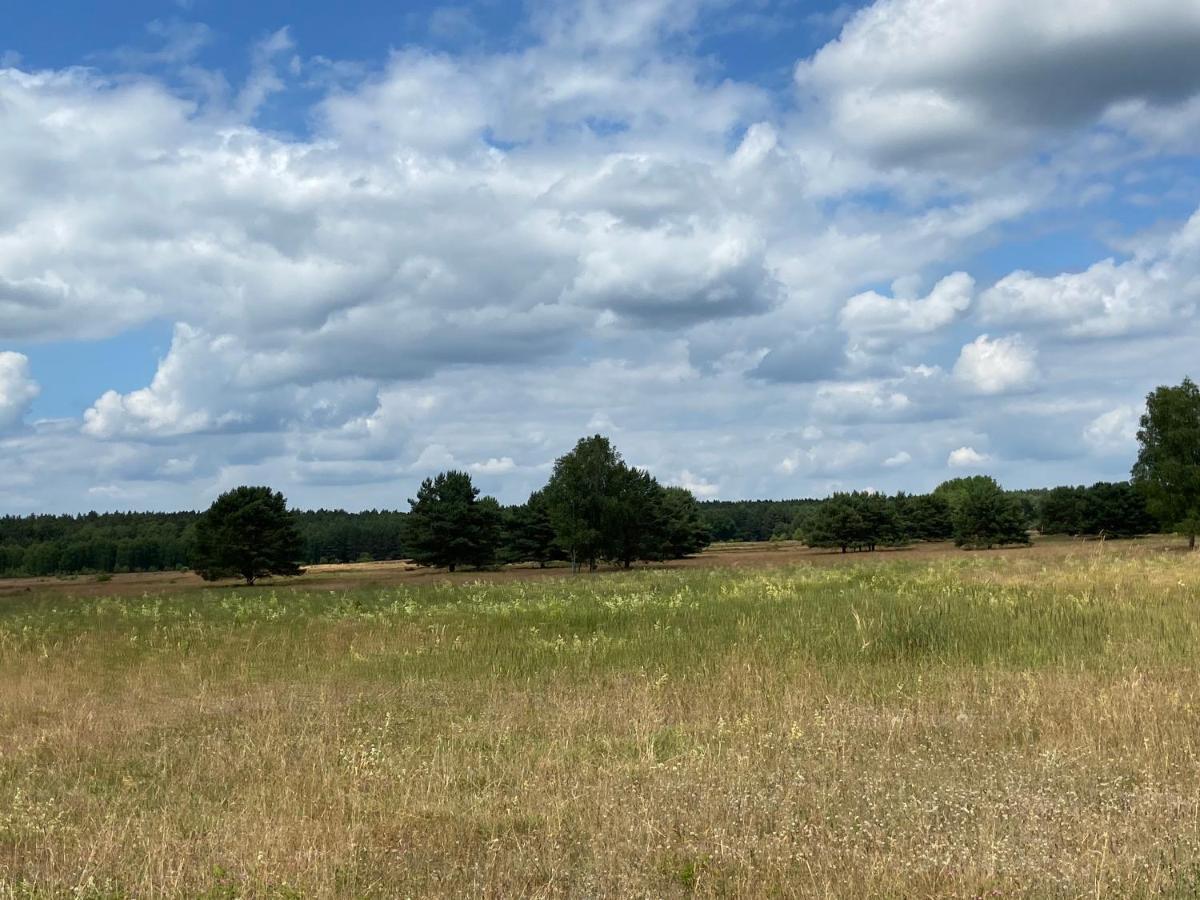 Waldwerk Wurlgrund Lychen Aparthotel Buitenkant foto