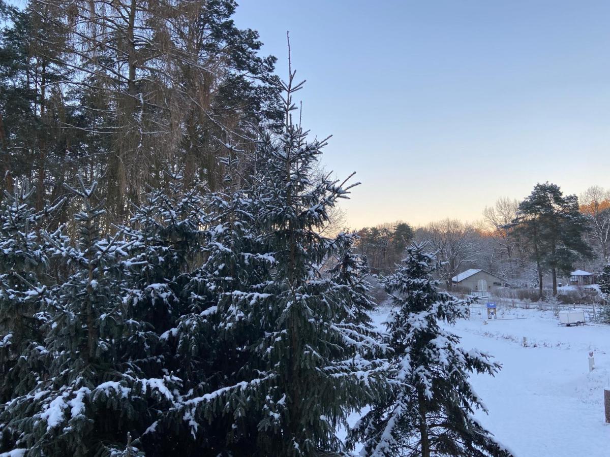 Waldwerk Wurlgrund Lychen Aparthotel Buitenkant foto